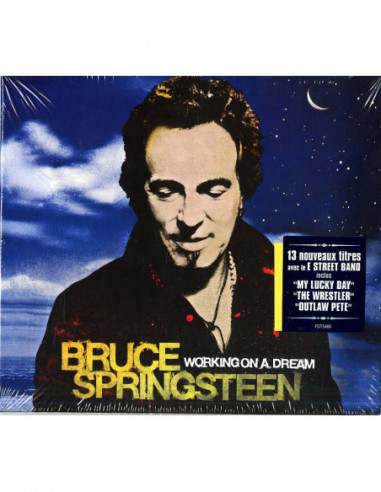 Springsteen Bruce - Working On A...