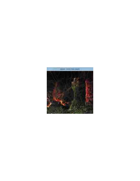 Grave - Into The Grave - (CD)