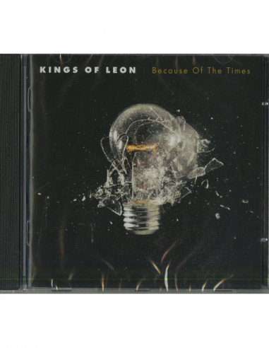 Kings Of Leon - Because Of The Times...