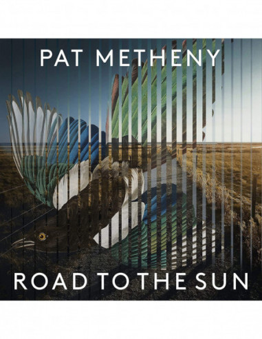 Metheny Pat - Road To The Sun - (CD)