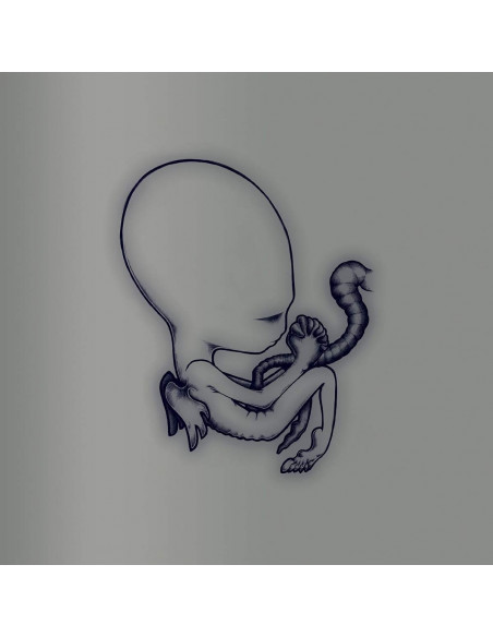 Sigur Ros - Aegtis Byrjun A Good Beginning (20Th Anniversary Deluxe Edt.) (Box 4 Cd) - (CD)