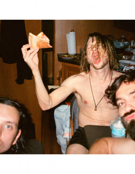 Dinosaur Pile-Up - Celebrity Mansions - (CD)
