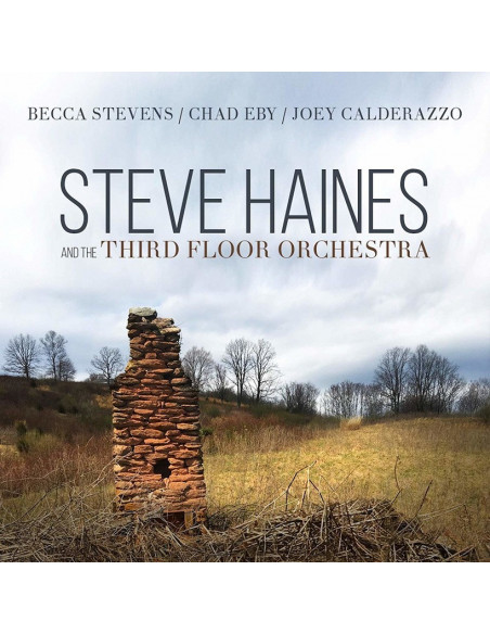 Haines Steve And The Third Floor Orchestra - (CD)