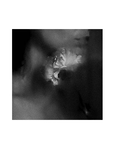 Holding Absence - Holding Absence - (CD)