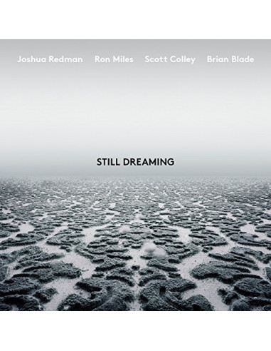 Redman Joshua - Still Dreaming - (CD)