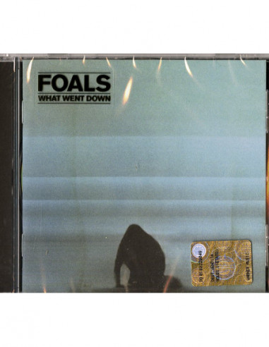 Foals - What Went Down - (CD)