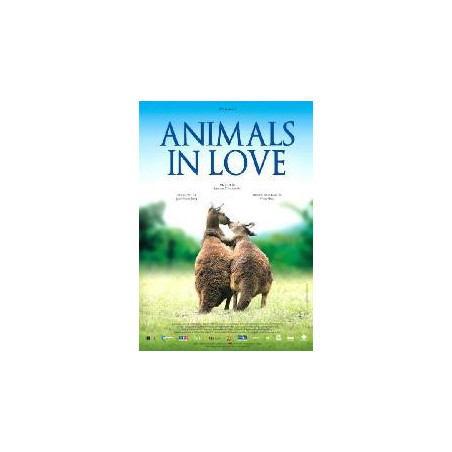 Animals In Love