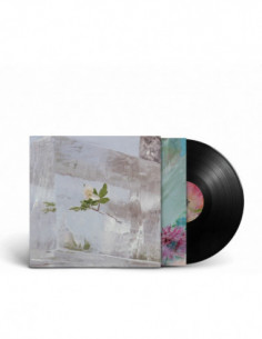 Efterklang - Windflowers