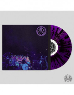 Fuzz - Levitation Sessions