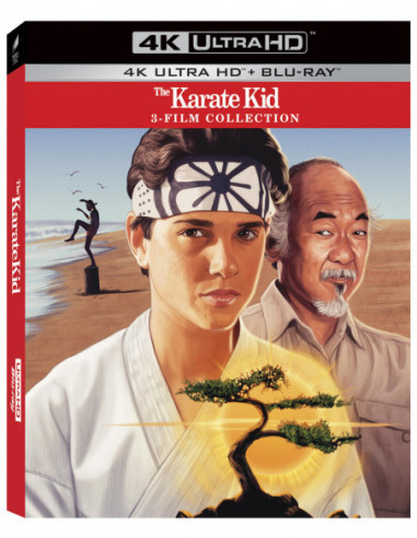 Karate Kid - La Trilogia (3 4K Uhd+ 3...