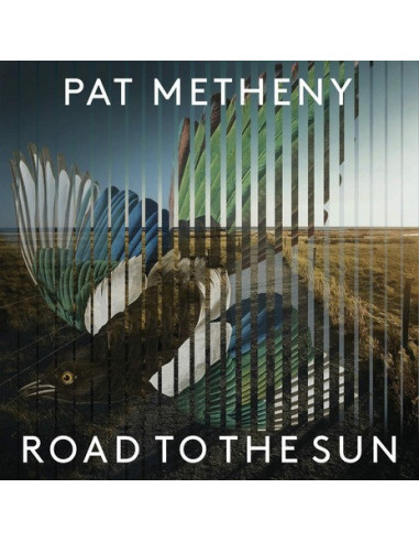 Pat Metheny - Road To The Sun