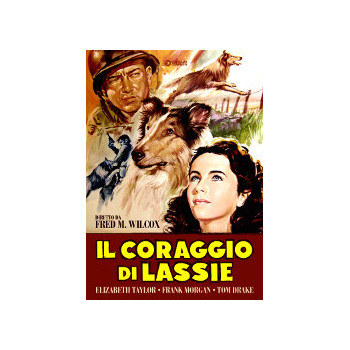 Il Coraggio Di Lassie