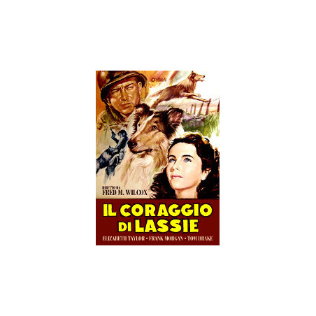 Il Coraggio Di Lassie