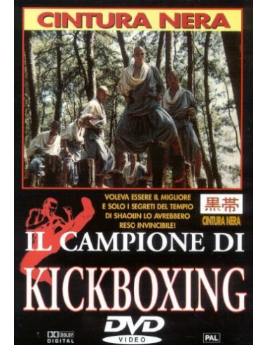 Campione Di Kickboxing (Il)