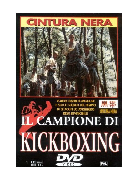 Campione Di Kickboxing (Il)