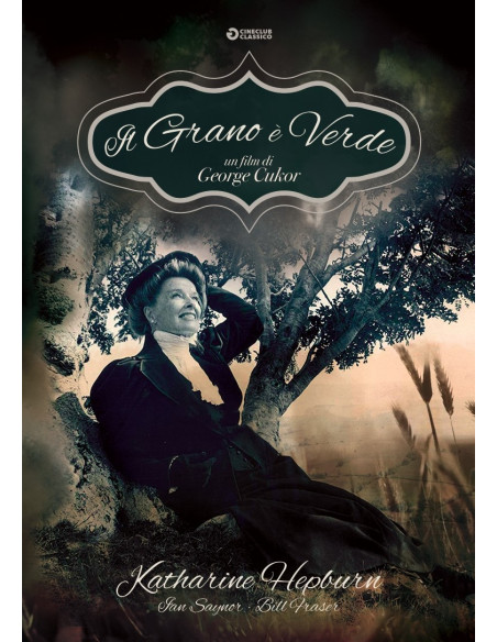 Grano E' Verde (Il) (1979)