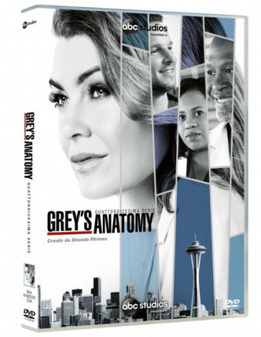 Grey's Anatomy - Stagione 14 (6 Dvd)