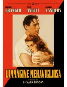 Immagine Meravigliosa (L')