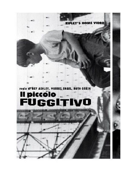 Piccolo Fuggitivo (Il)