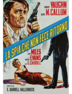 Spia Che Non Fece Ritorno (La)