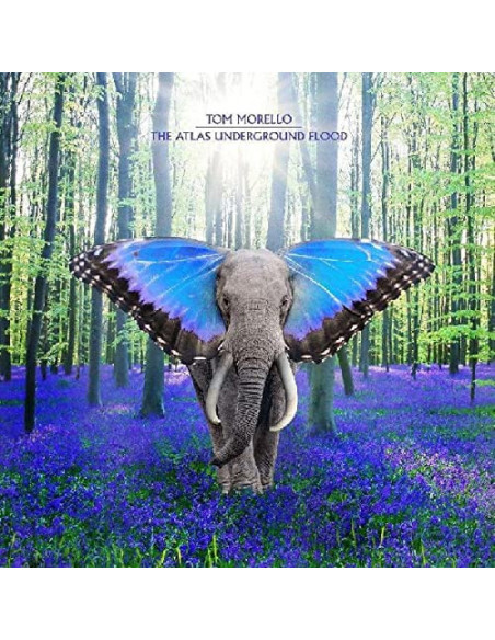 Morello Tom - The Atlas Underground Flood - (CD)