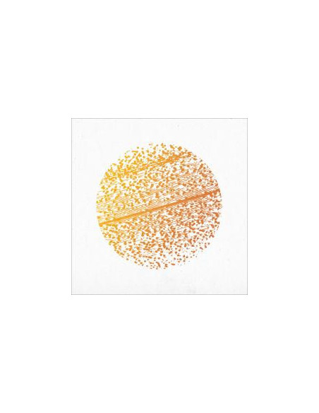 Gathering The - Beautiful Distortion - (CD)