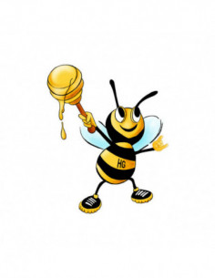 Honeyglaze - Honeyglaze - (CD)