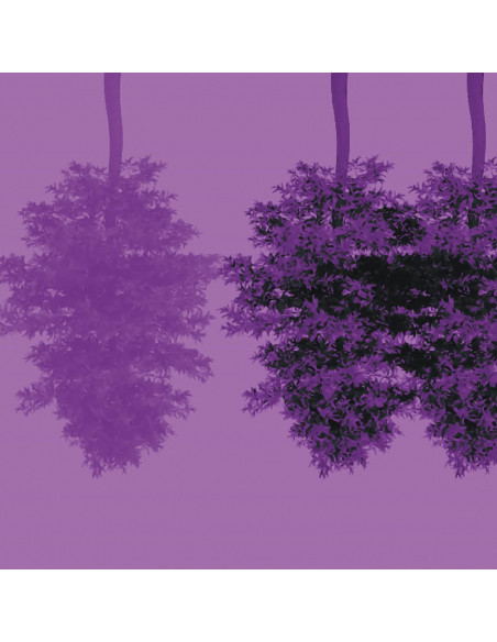 Takamaki Jone, Umut Caglar Fahrettin Aykut - Myth Of The Drum Urban Transformation