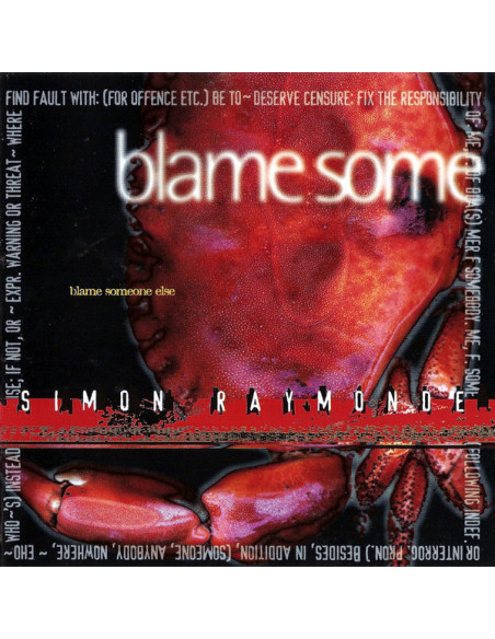 Simon Raymonde - Blame Someone Else