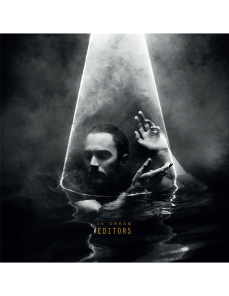 Editors - In Dream (Vinyl Clear)