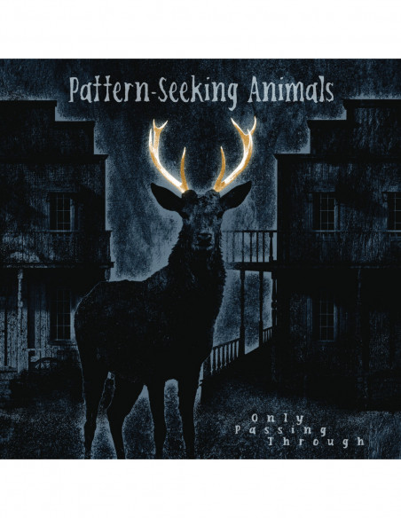 Pattern-Seeking Anim - Only Passing Through - (CD)