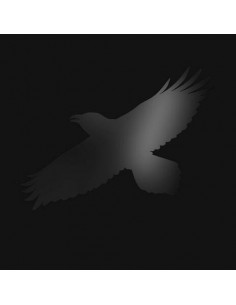 Sigur Ros - Odins Raven Magic - Vinile