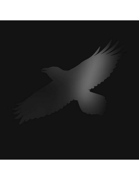Sigur Ros - Odins Raven Magic - Vinile