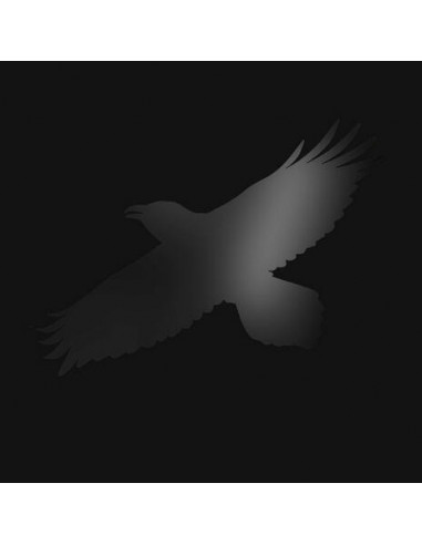 Sigur Ros - Odins Raven Magic - (CD)
