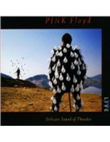 Pink Floyd - Delicate Sound Of...