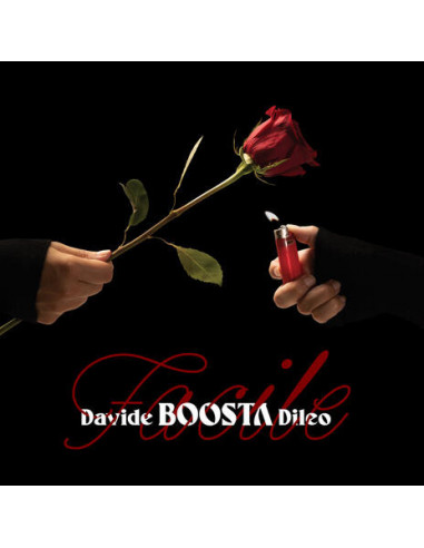 Boosta (Tastierista Subsonica) -...