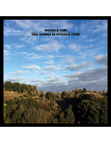 Fabi Niccolo' - Una Somma Di Piccole Cose ed.2016 - (CD)