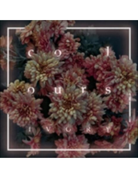 Colours - Ivory