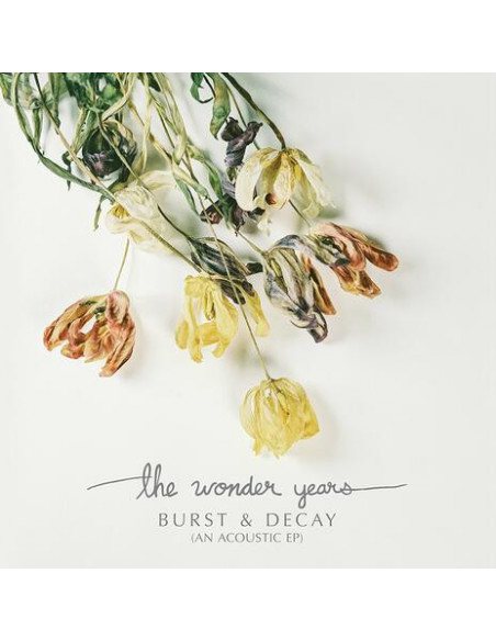 Wonder Years The - Burst & Decay