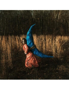 Miranda Holly - Mutual Horse