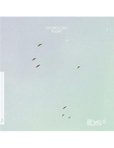 Lycoriscoris - Flight