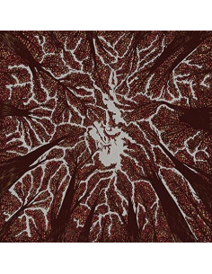 Trash Boat - Crown Shyness