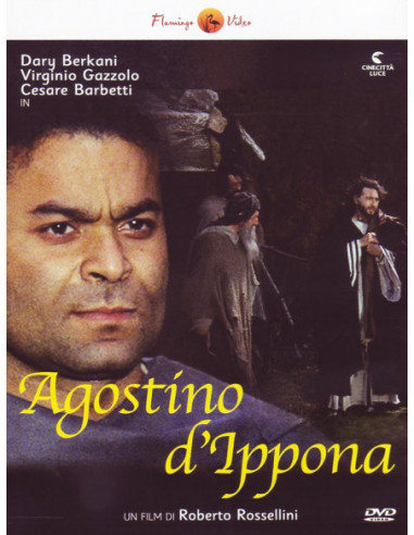 Agostino D'Ippona