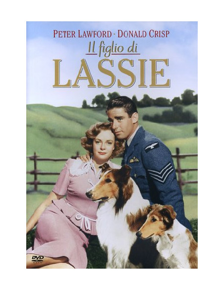 Lassie - Il Figlio Di Lassie