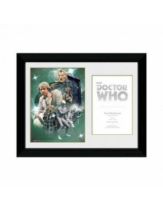 Doctor Who: 5th Doctor Peter Davison (Stampa In Cornice 30x40cm)