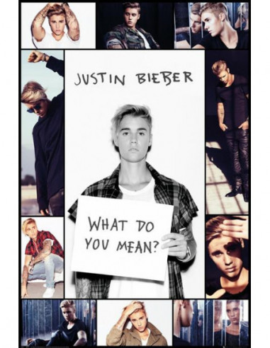 Justin Bieber: Grid (Poster Maxi...