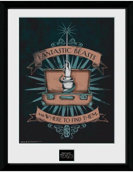 Fantastic Beasts: Illustration (Stampa In Cornice 30x40 Cm)