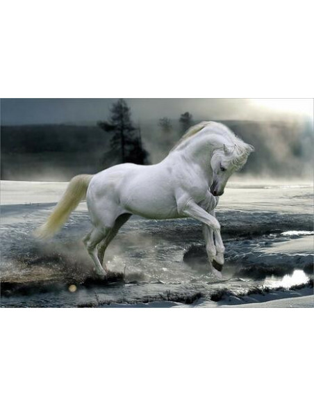 Bob Langrish: Horse Snow (Poster Maxi 61x91,5 Cm)
