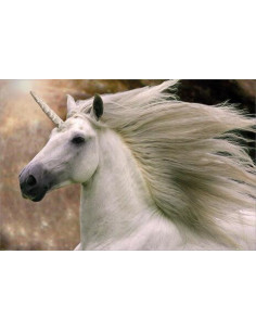 Bob Langrish: Gb Eye - Unicorn (Poster Maxi 61x91,5 Cm)