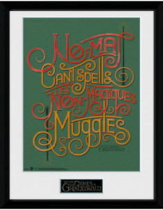 Fantastic Beasts 2: No-Maj (Stampa In Cornice 30x40cm)